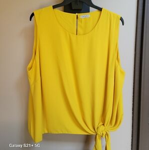 🔥SALE🔥 NWOT Ophelia Roe Sleeveless Side Tie Top